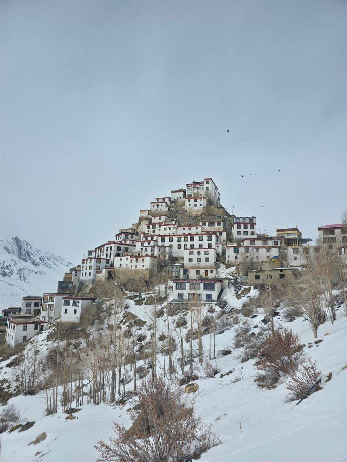 Key Monastery stacked up its hill in Spiti, the slopes around it under snow